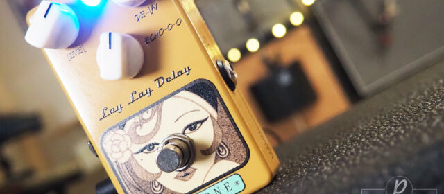 AceTone Electronics LLD-01 Lay Lay Delay Organic Tape Echo