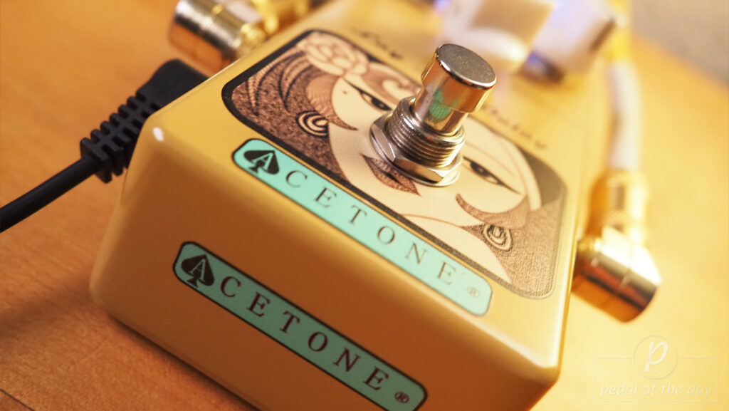 AceTone Electronics LLD-01 Lay Lay Delay Organic Tape Echo 3