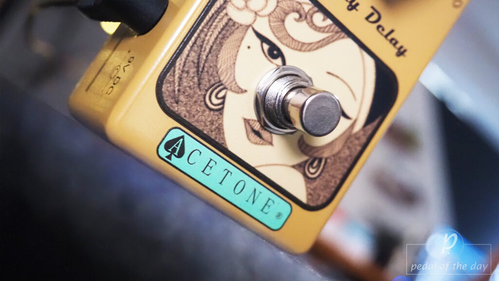AceTone Electronics LLD-01 Lay Lay Delay Organic Tape Echo 4