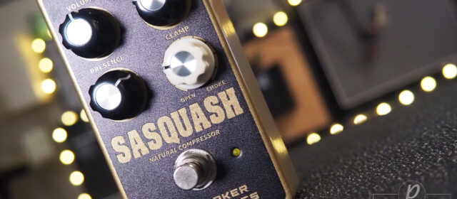 Berserker Electronics Sasquash Natural Compressor