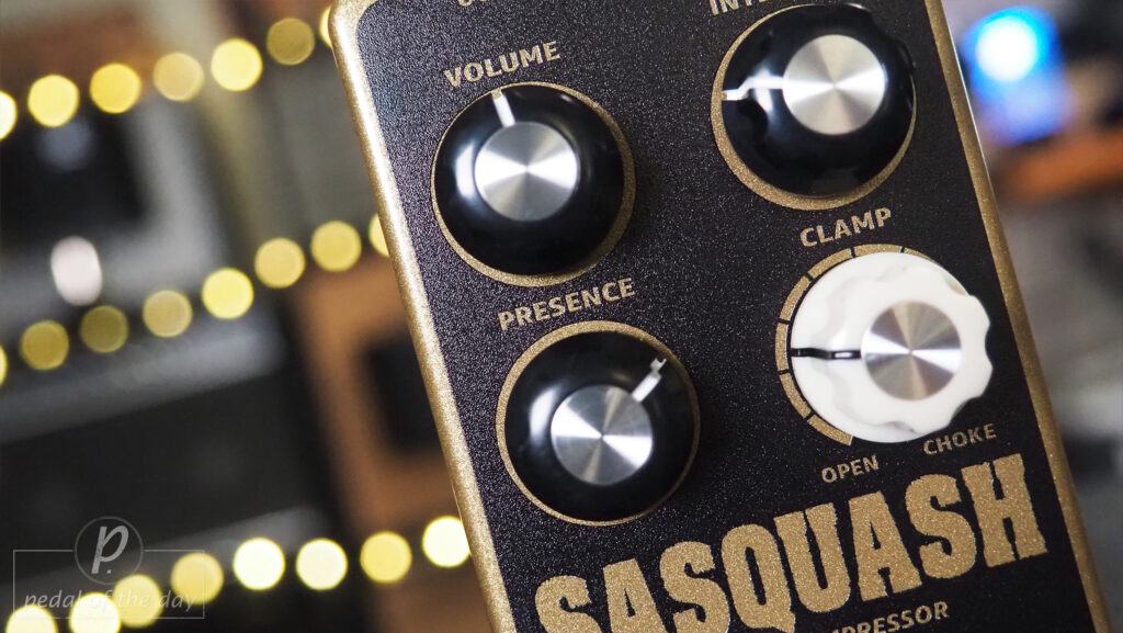Berserker Electronics Sasquash Natural Compressor 3